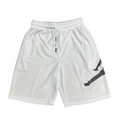 Jordan White and Gray Shorts