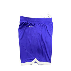 Nike Purple Shorts