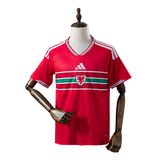Wales Adidas 2026 Home Fan Version Football T-Shirt
