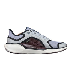 Nike Air Zoom Pegasus 41 Gtx Gray and Dark Red Running Shoes