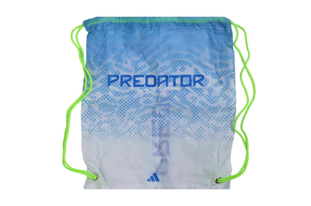 Adidas Predator White, Blue and Green Boot Bag