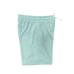 Jordan Light Blue Pack Shorts