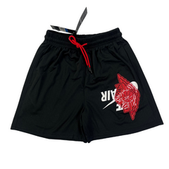 Nike Air Jordan Black, White, and Red Shorts