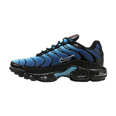 Nike Air Max Plus TN Black and Blue Sneakers