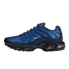 Nike Air Max Plus TN Blue Hex Sneakers