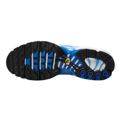 Nike Air Max Plus TN Light Photography Sneakers