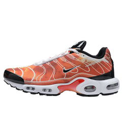 Nike Air Max Plus TN Light Photography Sneakers