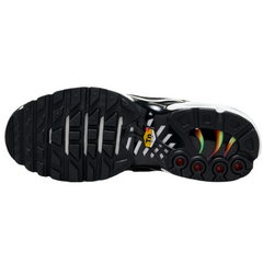 Nike Air Max Plus TN Rainbow Sneakers
